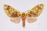  ( - INB0004264077)  @14 [ ] Copyright (2012) B. Espinoza Instituto Nacional de Biodiversidad