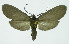  ( - INB0004264094)  @14 [ ] CreativeCommons - Attribution Non-Commercial No Derivatives (2011) Alex Smith University of Guelph
