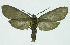  ( - INB0004264142)  @14 [ ] CreativeCommons - Attribution Non-Commercial No Derivatives (2011) Alex Smith University of Guelph