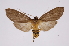  ( - INB0004264143)  @14 [ ] Copyright (2012) B. Espinoza Instituto Nacional de Biodiversidad