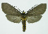  ( - INB0004264189)  @14 [ ] CreativeCommons - Attribution Non-Commercial No Derivatives (2011) Alex Smith University of Guelph
