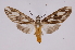  ( - INB0004264198)  @13 [ ] Copyright (2012) B. Espinoza Instituto Nacional de Biodiversidad