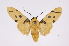  ( - INB0004276447)  @14 [ ] Copyright (2012) B. Espinoza Instituto Nacional de Biodiversidad
