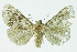  ( - INBIOCR002209815)  @11 [ ] CreativeCommons - Attribution Non-Commercial No Derivatives (2011) Alex Smith University of Guelph