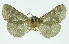  (Leichosila Espinoza02 - INBIOCR002253435)  @11 [ ] CreativeCommons - Attribution Non-Commercial No Derivatives (2011) Alex Smith University of Guelph