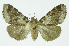  ( - INBIOCR002361482)  @11 [ ] CreativeCommons - Attribution Non-Commercial No Derivatives (2011) Alex Smith University of Guelph