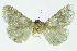  (Leichosila Espinoza01 - INBIOCR002427633)  @11 [ ] CreativeCommons - Attribution Non-Commercial No Derivatives (2011) Alex Smith University of Guelph