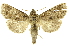  ( - INB0003008034)  @11 [ ] Copyright (2012) Juan Mata Lorenzen INBio