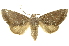  ( - INB0003012780)  @14 [ ] Copyright (2012) Juan Mata Lorenzen Unspecified