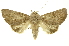  ( - INB0003012788)  @14 [ ] Copyright (2012) Juan Mata Lorenzen INBio