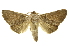  ( - INB0003012797)  @14 [ ] Copyright (2012) Juan Mata Lorenzen Unspecified