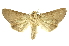  ( - INB0003012797)  @14 [ ] Copyright (2012) Juan Mata Lorenzen Unspecified