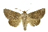  ( - INB0003012815)  @14 [ ] Copyright (2012) Juan Mata Lorenzen Unspecified
