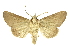  ( - INB0003012815)  @14 [ ] Copyright (2012) Juan Mata Lorenzen Unspecified