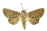  ( - INB0003012818)  @14 [ ] Copyright (2012) Juan Mata Lorenzen Unspecified