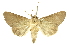  ( - INB0003012818)  @14 [ ] Copyright (2012) Juan Mata Lorenzen Unspecified