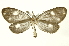  ( - INB0003016480)  @14 [ ] Copyright (2012) Juan Mata Lorenzen Unspecified