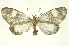  ( - INB0003016481)  @14 [ ] Copyright (2012) Juan Mata Lorenzen Unspecified