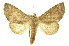  ( - INB0003017443)  @14 [ ] Copyright (2012) Juan Mata Lorenzen Unspecified