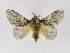  ( - INB0003018699)  @14 [ ] Copyright (2012) J. Montero Instituto Nacional de Biodiversidad