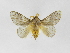  ( - INB0003018699)  @14 [ ] Copyright (2012) J. Montero Instituto Nacional de Biodiversidad
