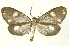  ( - INB0003020128)  @14 [ ] Copyright (2012) Juan Mata Lorenzen Unspecified