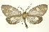  ( - INB0003020129)  @14 [ ] Copyright (2012) Juan Mata Lorenzen Unspecified