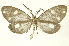  ( - INB0003020129)  @14 [ ] Copyright (2012) Juan Mata Lorenzen Unspecified