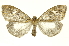  ( - INB0003024873)  @11 [ ] Copyright (2012) Juan Mata Lorenzen Unspecified