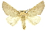  ( - INB0003024961)  @14 [ ] Copyright (2012) Juan Mata Lorenzen INBio