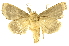  ( - INB0003024965)  @13 [ ] Copyright (2012) Juan Mata Lorenzen Unspecified