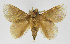  ( - INB0003025001)  @12 [ ] Copyright (2012) J. Montero Instituto Nacional de Biodiversidad