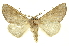  ( - INB0003025157)  @14 [ ] Copyright (2012) Juan Mata Lorenzen Unspecified