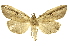  ( - INB0003025176)  @14 [ ] Copyright (2012) Juan Mata Lorenzen Unspecified