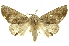  ( - INB0003035336)  @14 [ ] Copyright (2012) Juan Mata Lorenzen INBio