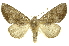  ( - INB0003035339)  @14 [ ] Copyright (2012) Juan Mata Lorenzen INBio