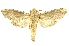  ( - INB0003040249)  @13 [ ] Copyright (2012) Juan Mata Lorenzen Unspecified
