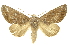  ( - INB0003040251)  @14 [ ] Copyright (2012) Juan Mata Lorenzen Unspecified
