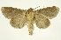 ( - INB0003040261)  @14 [ ] Copyright (2012) Juan Mata Lorenzen Unspecified