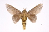  ( - INB0003041435)  @14 [ ] Copyright (2012) I. Chacon Instituto Nacional de Biodiversidad