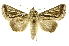  ( - INB0003042823)  @14 [ ] Copyright (2012) Juan Mata Lorenzen Unspecified