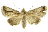  ( - INB0003043487)  @14 [ ] Copyright (2012) Juan Mata Lorenzen Unspecified