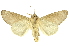  ( - INB0003044939)  @14 [ ] Copyright (2012) Juan Mata Lorenzen INBio