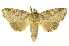  ( - INB0003045079)  @14 [ ] Copyright (2012) Juan Mata Lorenzen Unspecified