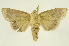  ( - INB0003045079)  @13 [ ] Copyright (2012) Juan Mata Lorenzen Unspecified