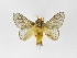  ( - INB0003045152)  @14 [ ] Copyright (2012) J. Montero Instituto Nacional de Biodiversidad