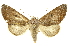  ( - INB0003045156)  @14 [ ] Copyright (2012) Juan Mata Lorenzen Unspecified