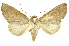  ( - INB0003045156)  @14 [ ] Copyright (2012) Juan Mata Lorenzen Unspecified