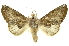  ( - INB0003046354)  @13 [ ] Copyright (2012) Juan Mata Lorenzen Unspecified