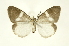  ( - INB0003047902)  @11 [ ] Copyright (2012) Juan Mata Lorenzen Unspecified